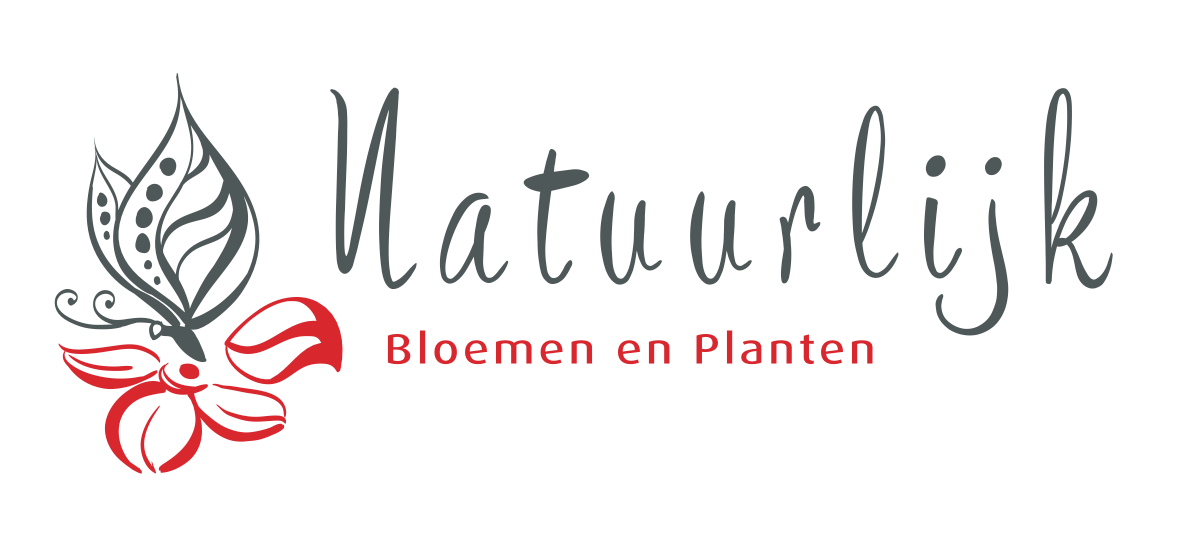 Naar de startpagina